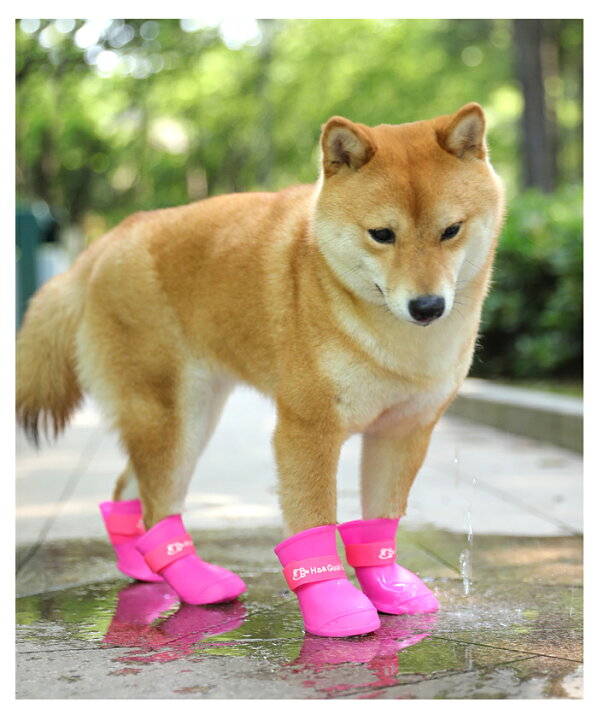 市場 犬用シューズ レインシューズ おさんぽソックス ドッグシューズ 靴 4個入り 滑り