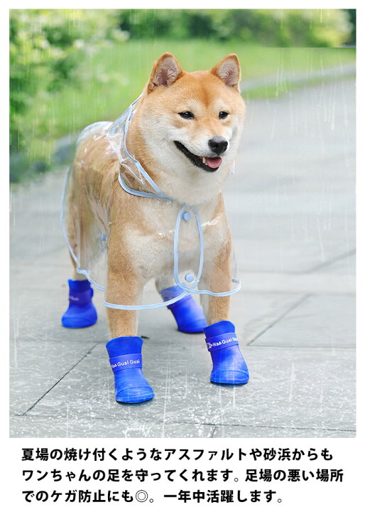 楽天市場】犬用 レインブーツ 4個セット 犬用レインシューズ 愛犬 ペット用 長靴 散歩 かわいい 雨 雪 履かせやすい ドッグシューズ 保護 安全 防水 肉球 カラフル 小型 犬 わんちゃん 滑り止め M マジックテープ 犬長靴 肉球 ケガ 防止 いぬ くつ 大きいサイズ pet224【P ...