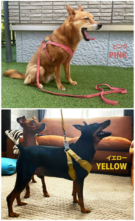 楽天市場 小型犬 ハーネス おしゃれ ドッグハーネス リードセット 犬 胴輪 かわいい リード ドッグ ハーネスセット 簡単装着 超小型犬 中型犬 ソフト 柔らかい 可愛い 犬用 犬ハーネス セット 抜けにくい 抜けない 痛くない 首輪 洗えるシーズー Pet229 P