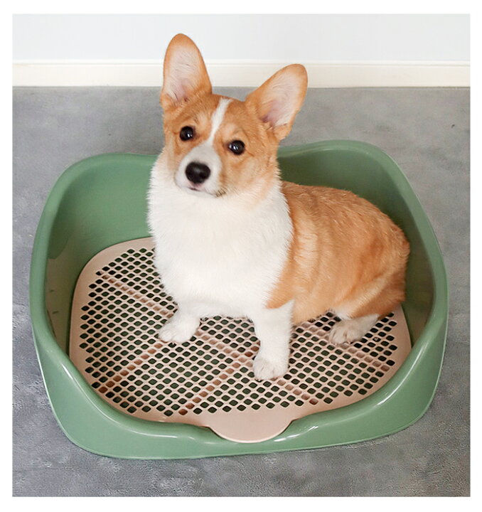 楽天市場 犬 トイレ オス トイレトレーニング トレーニング トレー トイレトレー 囲い 犬トイレ 犬 はみ出し 飛び散り 防止 おす 雄 子犬 犬用 メッシュ ペットトイレ 用品 ペット グッズ しつけ しつける おしっこ 目印 ポール 棒 枠 ガード 黒 青
