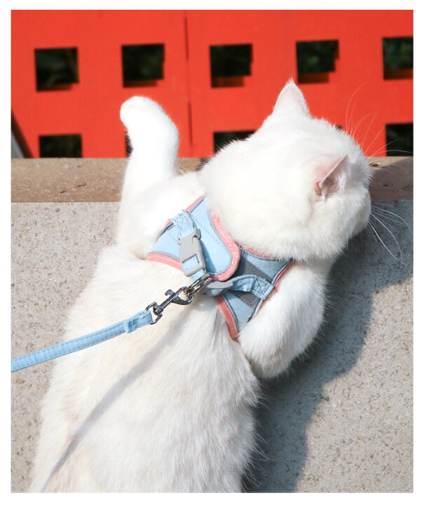 楽天市場 猫 ハーネス 大きい サイズ 猫用 猫用ハーネス リード リード付き 犬 犬用 猫ハーネス 大型猫 小型犬 超小型犬 子犬 犬ハーネス ベスト ベスト型 散歩 胴輪 着せやすい おしゃれ マジックテープ 疲れない ペット ウエア 避難 グッズ シニア M L Ll