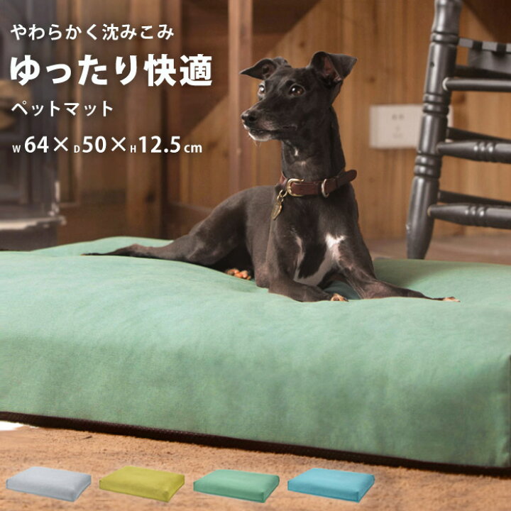 楽天市場 犬 ベッド 春夏 おしゃれ 猫 ペットベッド ペットクッション 大きい 64cm 洗える 犬ベッド 猫ベッド 犬ベット ふわふわ ペットベット 犬用 猫用 布団 無地 ふとん かわいい ペット用 ペットマット 分厚い 滑り止め 小型犬 子犬 スクエア Pet281 P 即納 5月 楽天市場 犬 ベッド 春夏 おしゃれ 猫 ペットベッド ペットクッション 大きい 64cm 洗える 犬ベッド 猫ベッド 犬ベット ふわふわ ペットベット 犬用 猫用 布団 無地 ふとん かわいい ペット用 ペットマット 分厚い 滑り止め 小型犬 子犬 スクエア Pet281 P 即納 5月