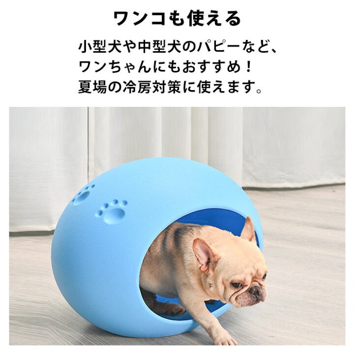 楽天市場 猫 ハウス 犬 ベッド ドーム 春夏 ちぐら 室内 おしゃれ 洗える キャットハウス 大型 かわいい 猫ベッド 犬ベッド 猫用 犬用 ペット ペットベッド ベット 丸型 大型猫 小型犬 丸洗い ネコ グッズ ねこ 用品 プラスチック ホワイト 白 水色 楽天市場 猫 ハウス 犬 ベッド ドーム 春夏 ちぐら 室内 おしゃれ 洗える キャットハウス 大型 かわいい 猫ベッド 犬ベッド 猫用 犬用 ペット ペットベッド ベット 丸型 大型猫 小型犬 丸洗い ネコ グッズ ねこ 用品 プラスチック ホワイト 白 水色