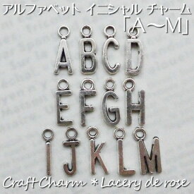 楽天市場 イニシャルチャーム Dの通販
