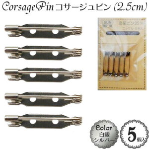 RT[Ws (2.5cm)(5)(FVo[)  ANZT[ p[c u[`s ԃs Ss Suncoccoh