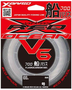 GbNXuCh(X-Braid) bhI[V V6 DnX 100m 20