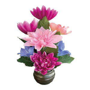  ͂Ȃ y   z dp  d d ~jTCY Ver.ss