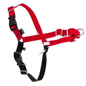 [ �y�b�g�Z�[�t ] Petsafe ���p �n�[�l�X �C�[�W�[�E�H�[�N ���^�`��^�� L �T�C�Y Easy Walk Harness L EWH-HC-L-RED ���b�h/�u���b�N Red �U�� �g���[�j���O �y�b�g �� [���s�A���i]