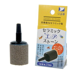 ���Ԃ��G�A�X�g�[�� 18�ӊ� #100