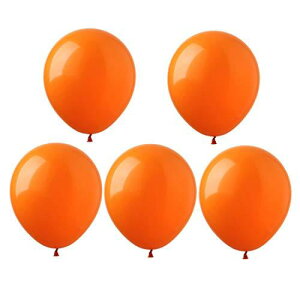 18C`傫D IW NA 5 o[ ap[eB[  fRV sN