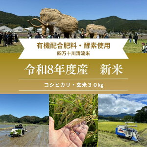 ���i�摜