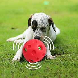 犬 おもちゃ ボール 大型犬用 ぽわぽわ音が出る 硬くて丈夫な音の出るおもちゃ 大きな音が好きなワンちゃんに お手 送料　無料