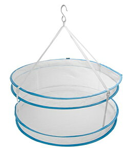 _C Daiya   lbg lbg ܂肽 2i ^h~ ~` h~ EhK[h jbg Z @