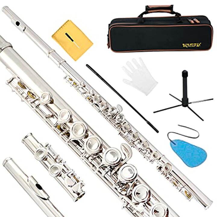 楽天市場】フルート 16穴 木管楽器 Cキー 初心者セット Eメカ付き 白銅 