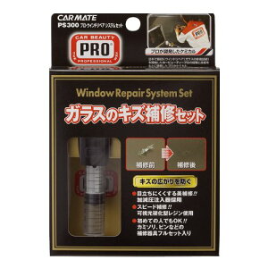 J[CgCARMATE ԗp KXyAZbg v EChyA VXeZbg PS300 @