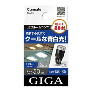 カーメイトARMAE GGA 車用 ルームランプ 15000K 個入り 明るく長寿命 クールな青白光 10 BW35