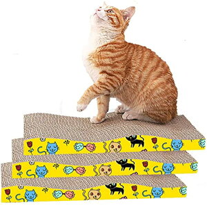 tiiland L ߂Ƃ _{[ 3Zbg 傫ȔLƎqLK LXNb` ˂ ܂Ƃ}bg ܂₷ ܂Ƃ L L܌_