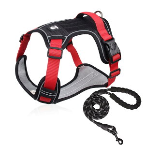 Čɋ͐EX őϋv̂錢pn[lXZbgAO^O̔wʔSC^A^A^A^pA1.5[htAm[XgX