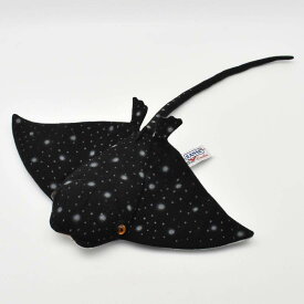 BH6663 HANA エイ43