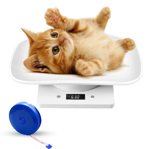 ilain ybg ̏dv  ̏dv ybgp ̏dv qL̑̏dv ^ybg L  ̏dv fW^ybg̏dv dqybg̏dv ^