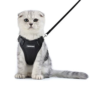 Rabtoo L n[lX [h Zbg ^ Lp Ȃ ́[˂ \tg y グ TCY߉ lR U