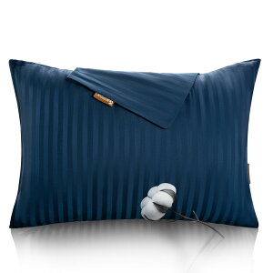 100+YKKt@Xi[Jo[ 35x50 zei 60הԎ+315{x _炩G+VRh_jn TeD EKR