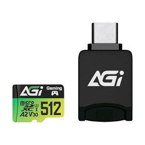 51GB F138 }CNsdJ[h/R138 ype J[h[_[ Nintendo witchmF. MicroDX A U3