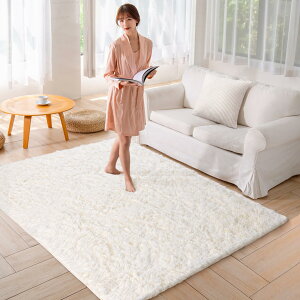 ddiny カーペット ラグ ホットカーペット中層:30D高密度ウレタン 厚さ約1.c 独自技術とデザインの抗菌防臭加工 ラグマット シャギーラ