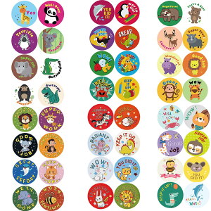 48̃fUC 3000 قїpV[ tJpV[  p V[  V[ JV[ e ct wZpwK p