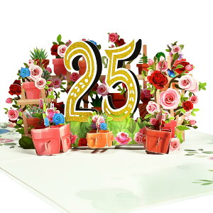 Ants Vo[Wr[Zu[V 25NLÕO[eBOJ[h IȈƍK25NLOA25NA25΂̒a