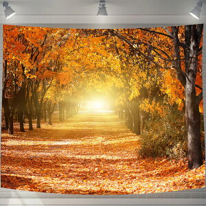 UIU ^yXg[ gt ъԓH ܂݂ RiF IV wi @\ z|X^[ Ǌ| Ǐ CeA ͋C]TCY:2