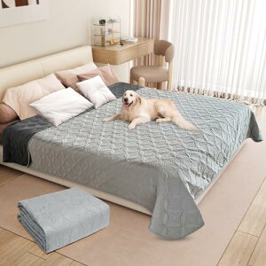 LNI hJo[ xbh \t@[ hV[c hV[c VO _u xbhJo[ h  Lp hV[c h Rh~ ʎg