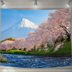 UIU ^yXg[ xmR J ͒Â RiF IV wi @\ z|X^[ Ǌ| Ǐ CeA ͋C]TCY: