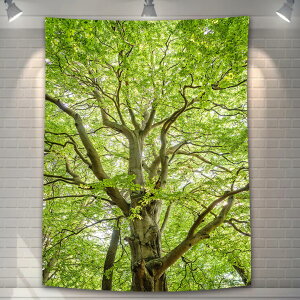 UIU ^yXg[  ؂̉  RiF IV wi @\ z|X^[ Ǌ| Ǐ CeA ͋C]TCY:75×