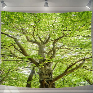 UIU ^yXg[  ؂̉  RiF IV wi @\ z|X^[ Ǌ| Ǐ CeA ͋C]TCY:130