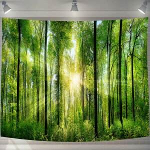 UIU ^yXg[ X  ъ RiF IV wi @\ z|X^[ Ǌ| Ǐ CeA ͋C]TCY:100×7