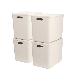 vX`bN [{bNX Wt 36.5×s26×30cm 25 L X^bN\ ߑP[X Rei N[[bg/rO