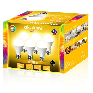 FAAAd F e17 60W` ~jNvgd 730lm Ra93 Lz Px ȃGl `Ή fMގ{H