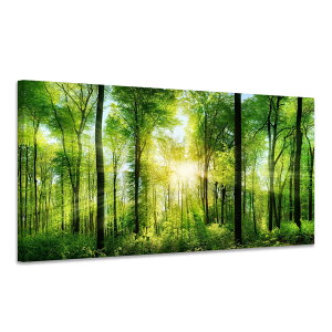 R G ؂̊G A[gpl R G i |X^[ Ǌ|   J^   ؘgt̊i 40x80cm