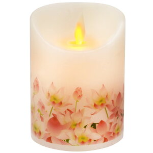  XC  LED z[ t[XLh [^XLh z[xbh[ Lh }`J[