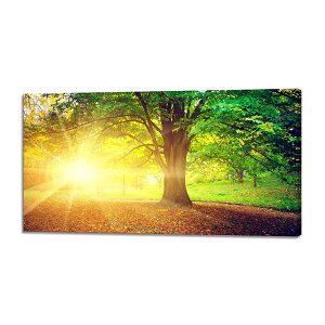 X A[gpl  i ž G i Ǌ| Ǌ| i  ǊG ؘgt̊i 30x60cm