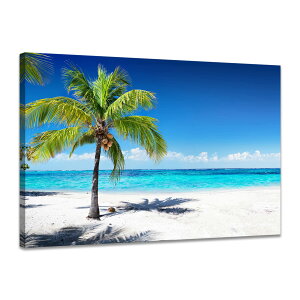 CG A[gpl C  Ri  G z i Ǌ|   J^  ؘgt̊i 30x40cm x1cs