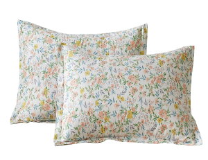 Jo[ 43x63cm 2g GKgЂt sP[X h_j R hL  ԕ 