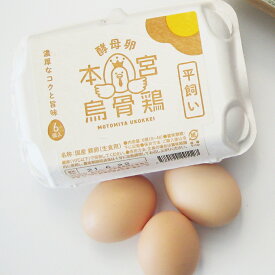 美味しい本宮烏骨鶏の卵【6個入り・平飼い卵】