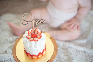 送料無料 スマッシュケーキ/ 子ども 赤ちゃん 焼き菓子 手作り バースデーフォト 砂糖不使用 平飼い卵 プレゼント 【レビューで次回使える300円クーポン】