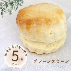 北海道産バターの手作りプレーンスコーン（5個入り）焼菓子 おやつ 帰省 ギフト 父の日 プレゼント お中元 手土産 誕生日 人気 かわいい カフェ お取り寄せ