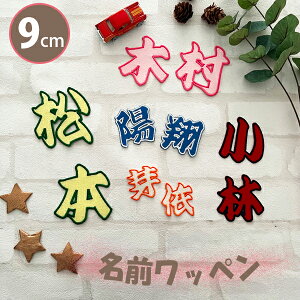 [ӁyOby  9cm 1̋złzO/ӂhJ^I[_[ȒPIACڒ/l[/D/̑/Ȃ܂/킢/傫/[bP/by/JX^}CY/hイ/