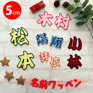 [ӁyOby  5cm 1̋złzO/ӂhJ^I[_[ȒPIACڒ/l[/D/̑/Ȃ܂/킢/傫/[bP/by/JX^}CY/hイ/