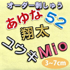 [ӁyO I[_[hJby SVbN 3`7cm 1̋złzhイ/by/ObY/Cu/LIVE/IWi/I[_[Ch/v싅/TbJ[/IsbN/jtH[