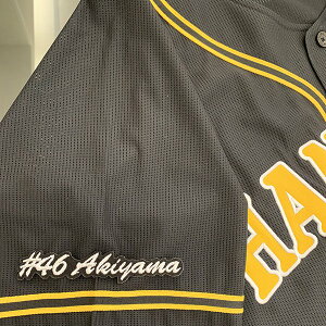 納期注意【阪神タイガース 刺繍ワッペン #46 秋山 ナンバー】秋山拓巳/応援歌/ユニフォーム/優勝/プロ野球/刺繍/刺しゅう/ワッペン/応援グッズ/クリスマス/クリスマスプレゼント/かっこいい/